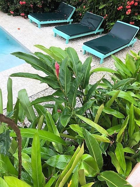 Tobago Hibiscus Golf Villas & Appartments Mount Irvine Buitenkant foto