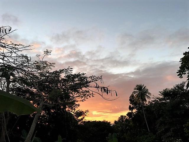 Tobago Hibiscus Golf Villas & Appartments Mount Irvine Buitenkant foto