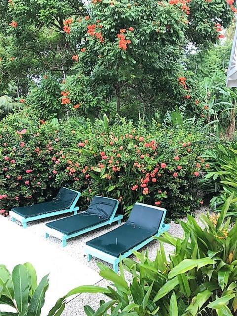 Tobago Hibiscus Golf Villas & Appartments Mount Irvine Buitenkant foto